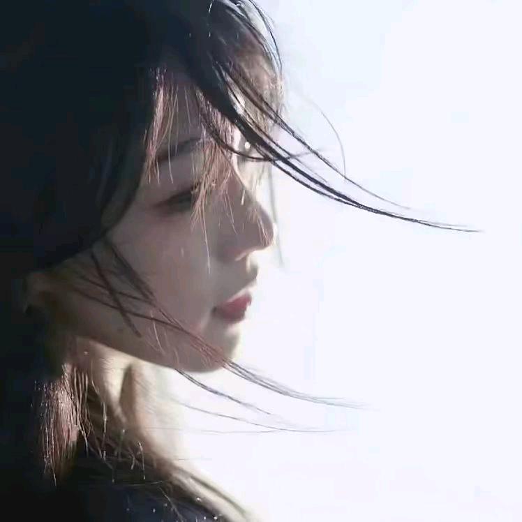 zi洋