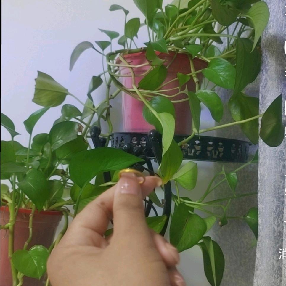 过客@