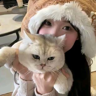 猫猫 （王者荣耀）