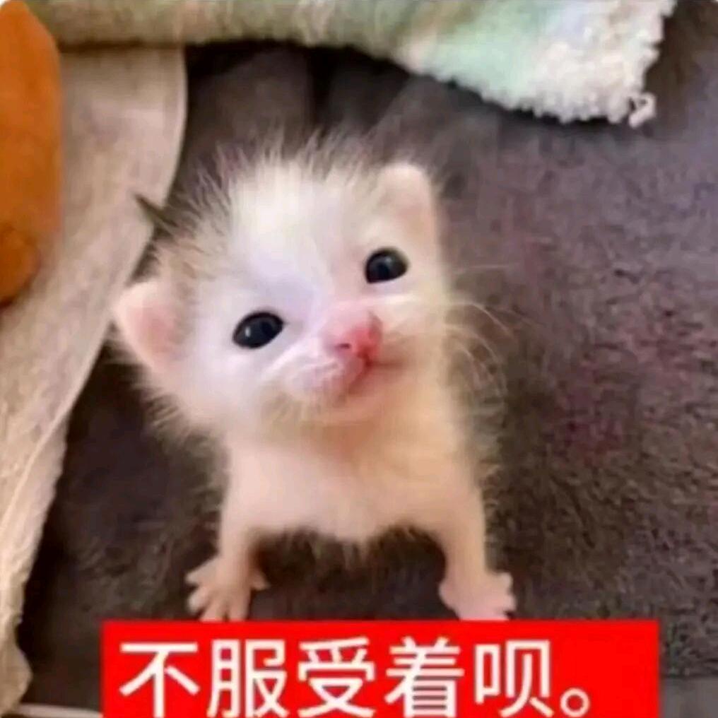 鱼.