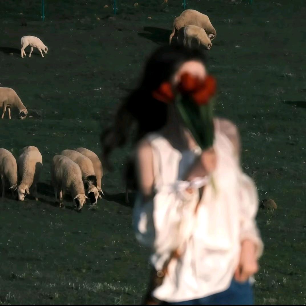 🌝小汪今天吃魔芋爽了么