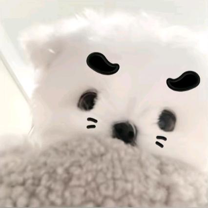 心是黑的