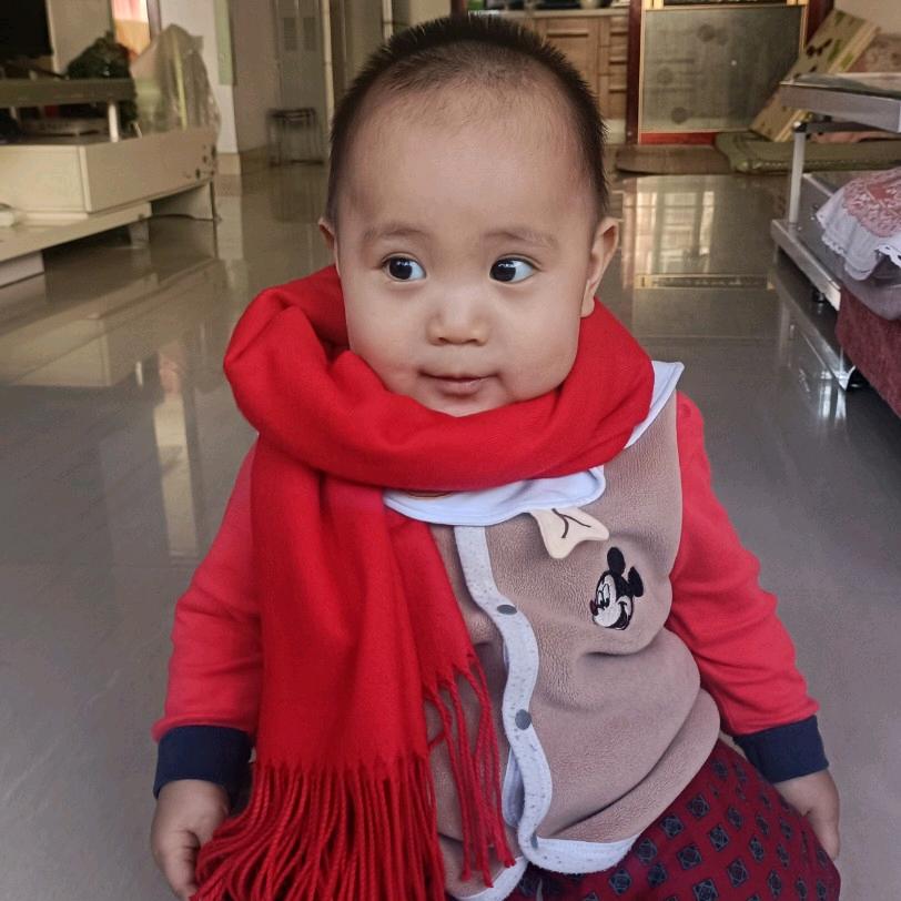 中储鲜猪肉批发275号