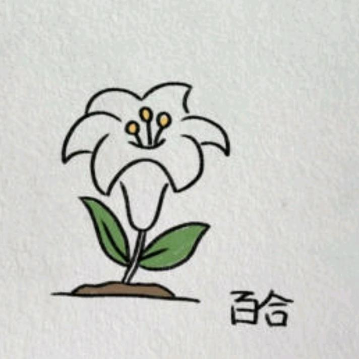 花呦