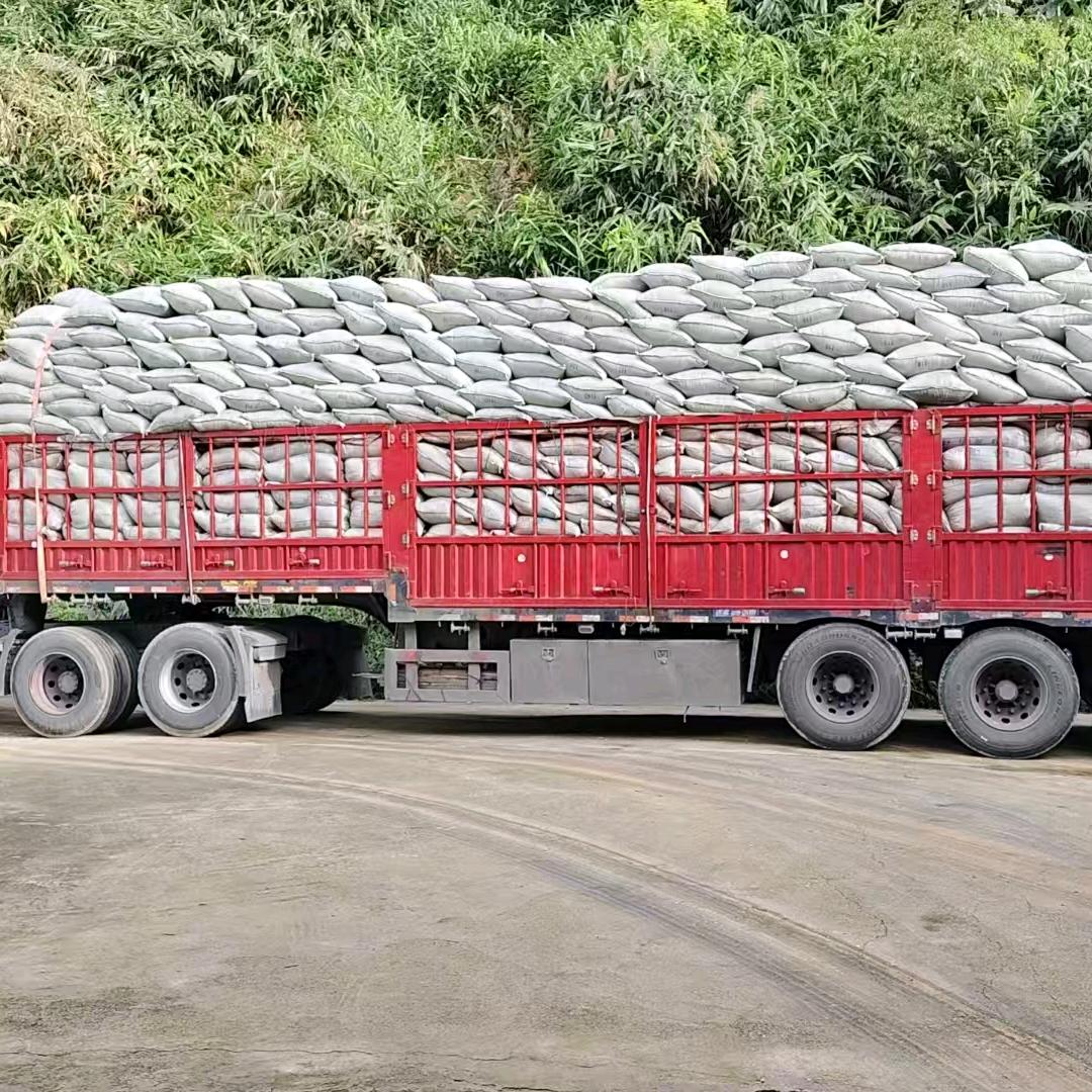 杰仔