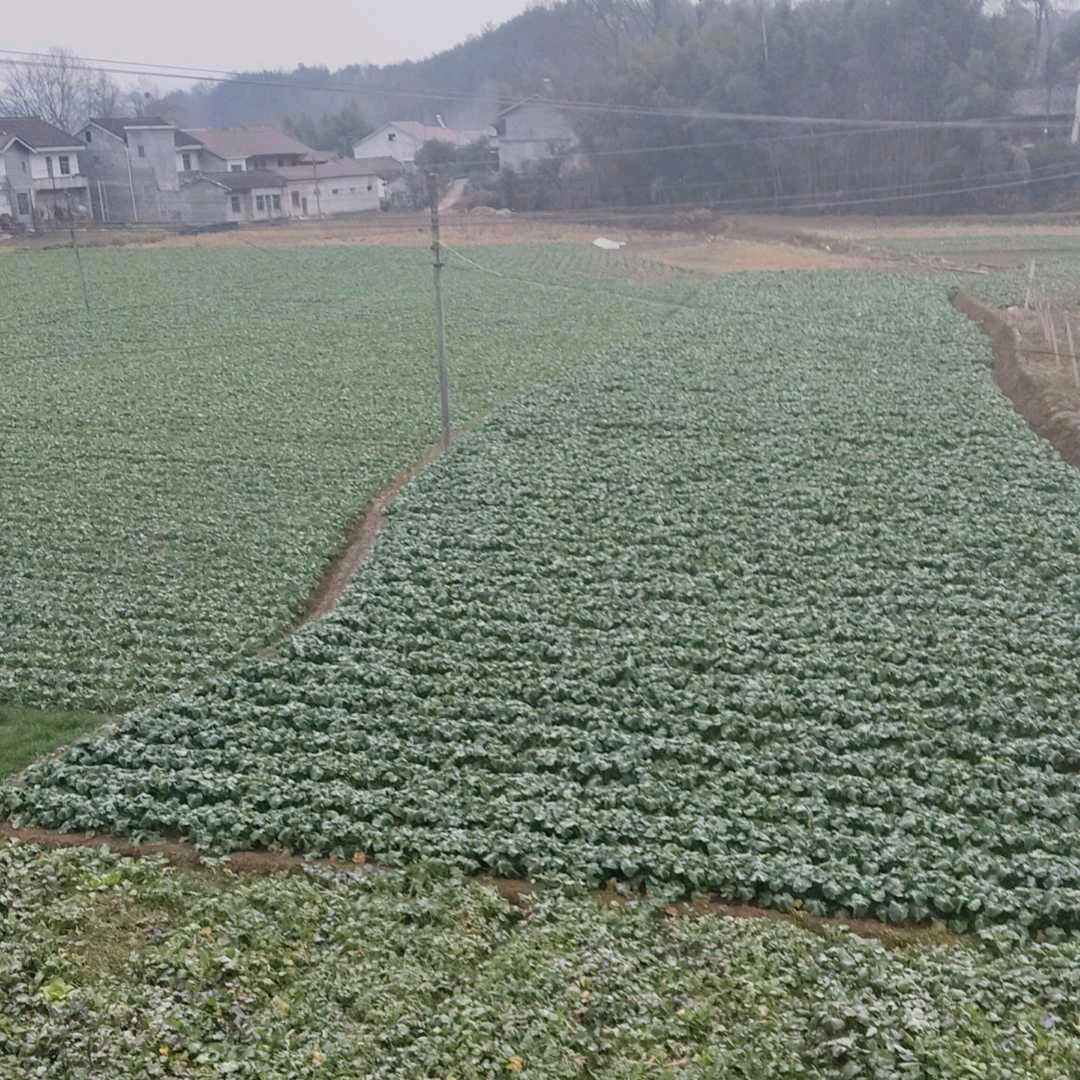 一生平安🙏🏻🙏🏻