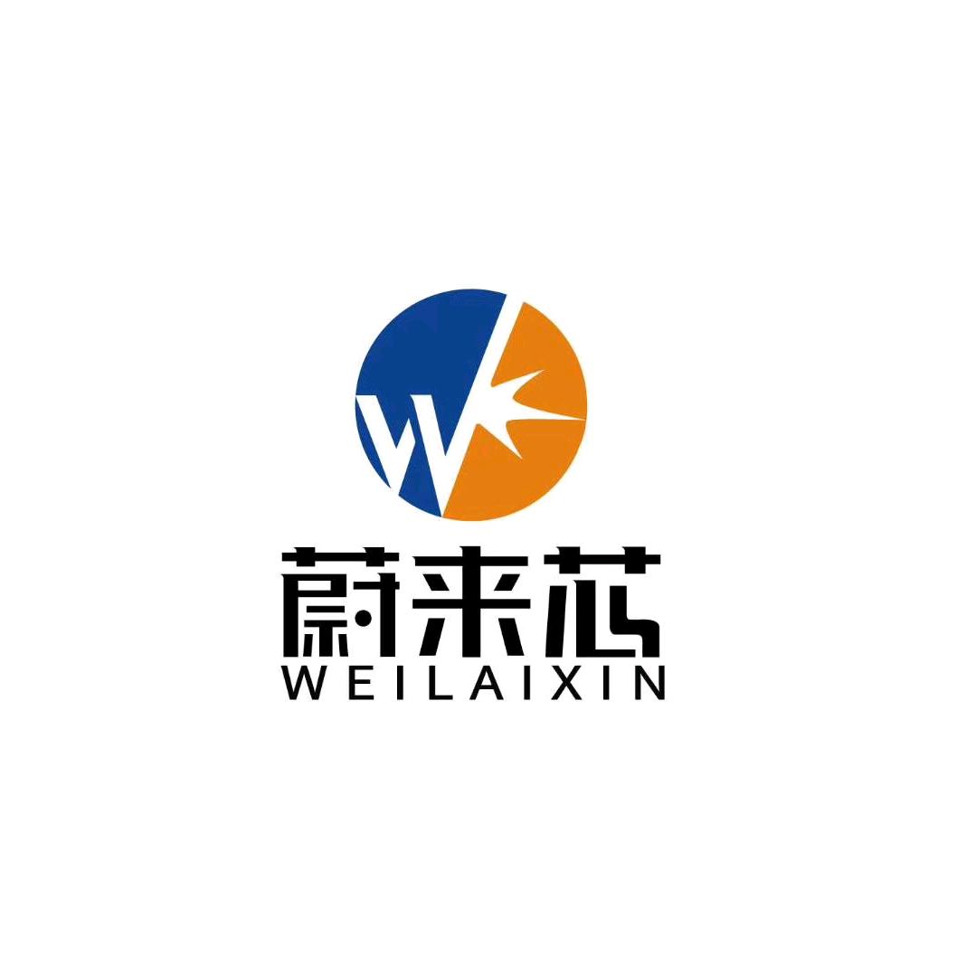 詹厂长蔚来芯汽车LED灯(工厂店)