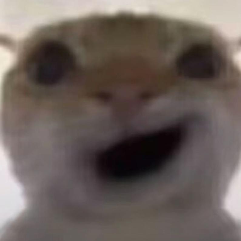 可乐丶