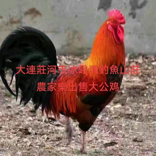 用户9963810575377钓鱼山庄