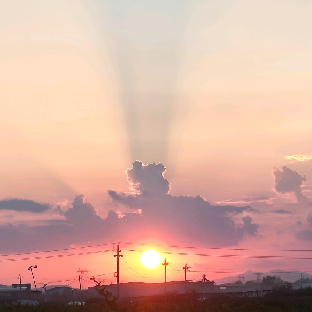 坚强的小面条（不要连赞哦）