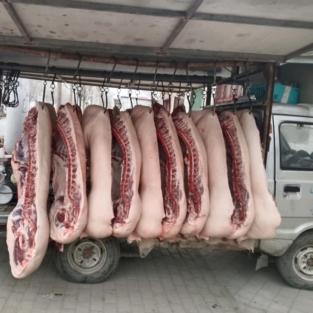 赵岗肉食丽姐