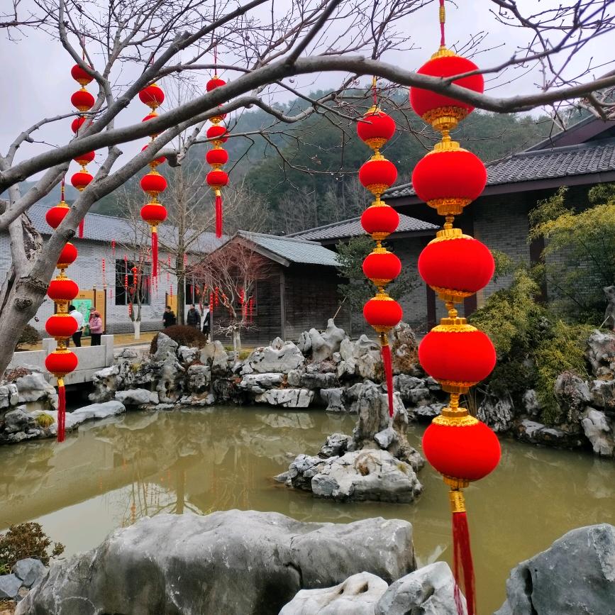 天涯哥🌪