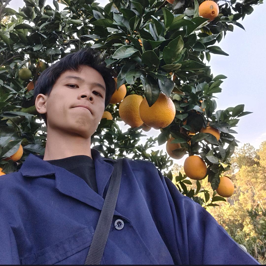 小夕阳赣南脐橙