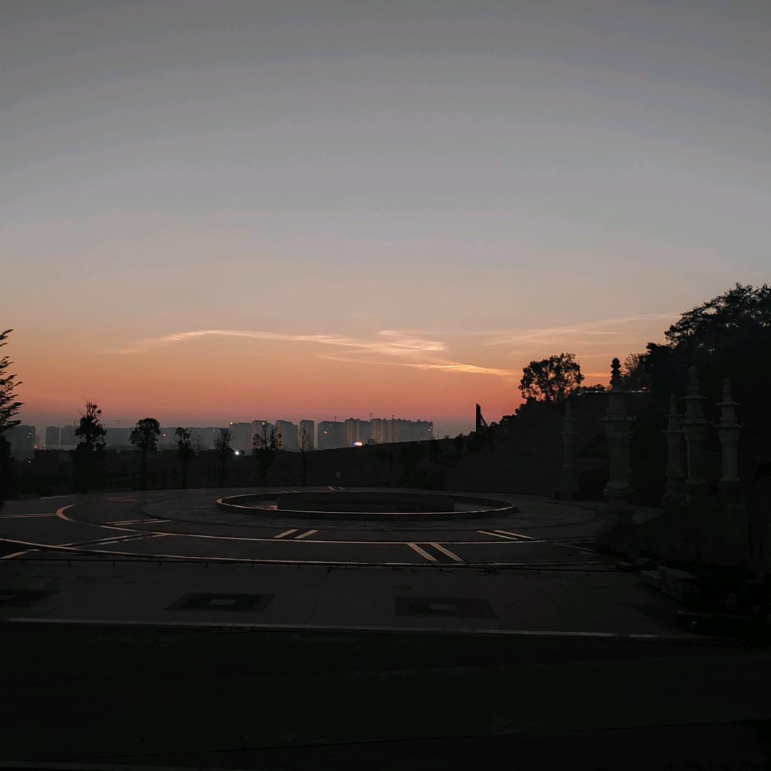 除醛先生