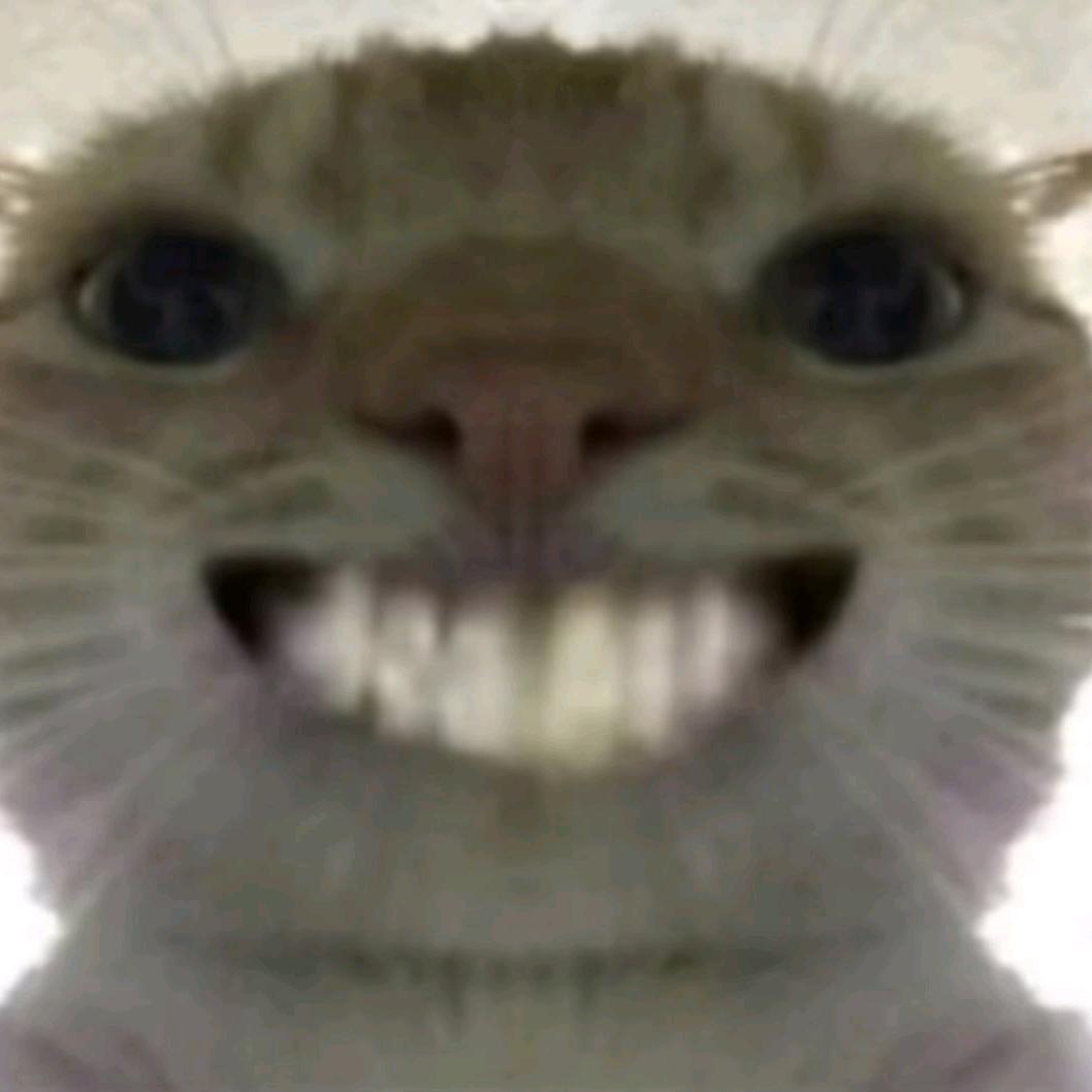 嘉霖（三角洲行动）