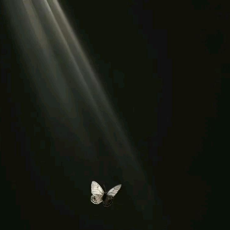 海苔很脆