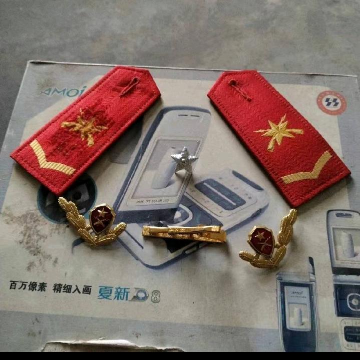 水獭的旅程