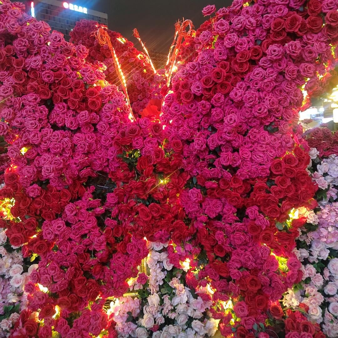 姐的忧伤，你不懂