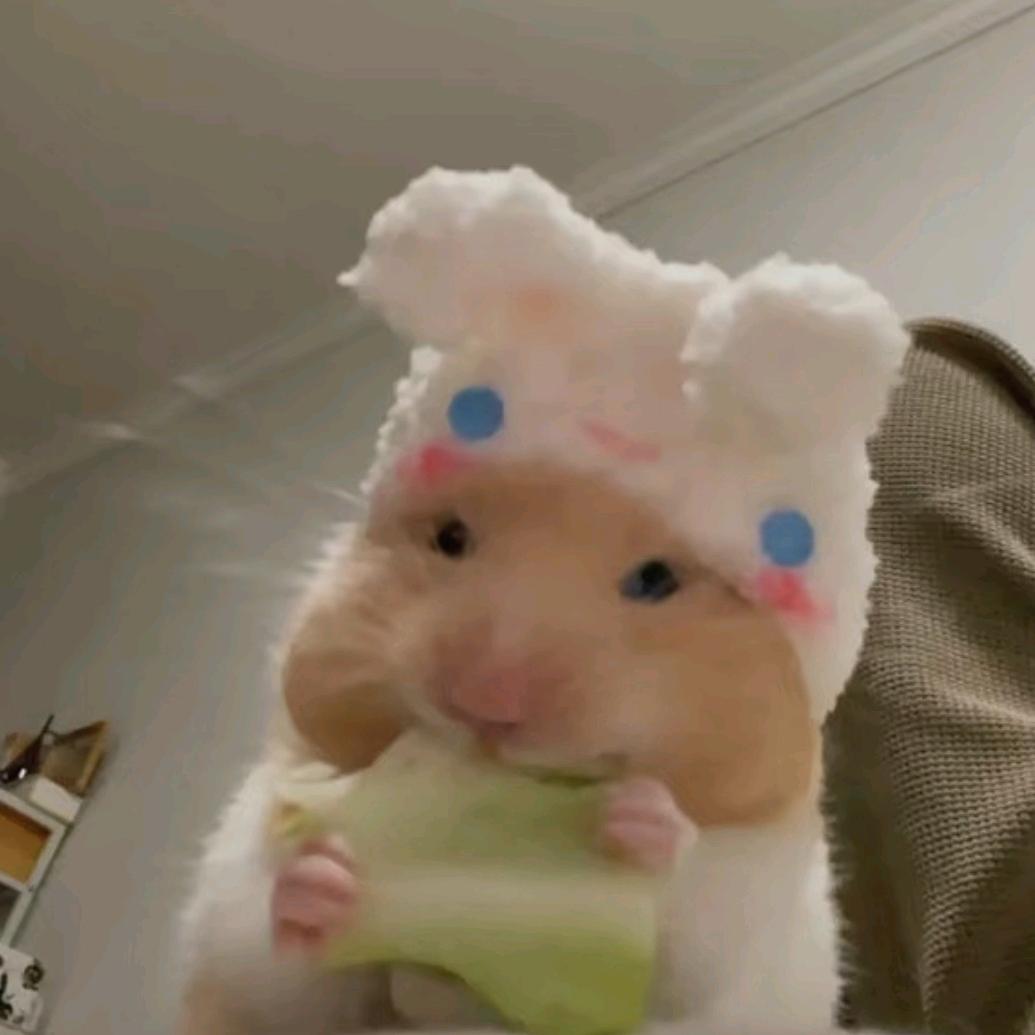 好运奔向我