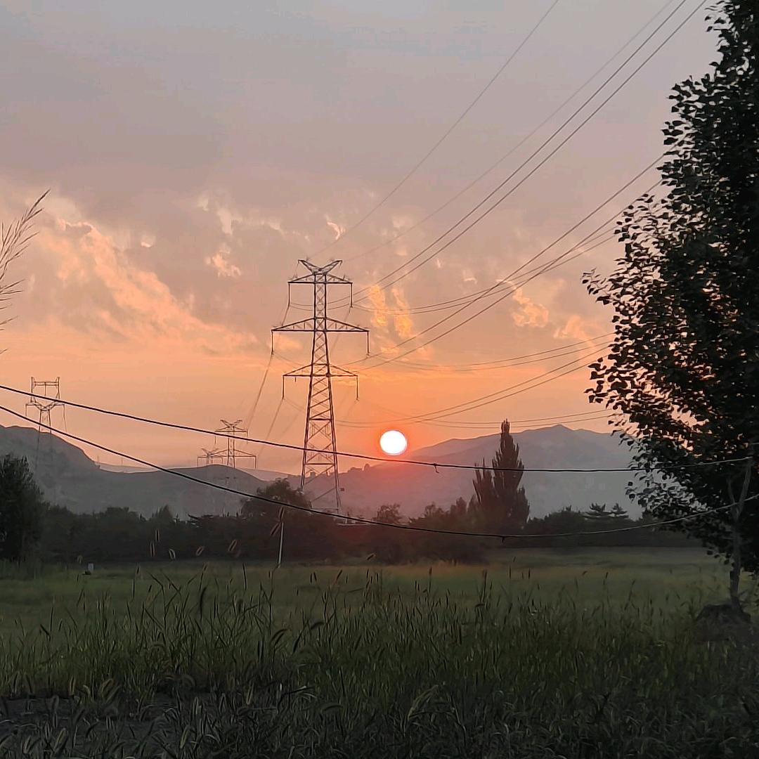 齐齐颗颗