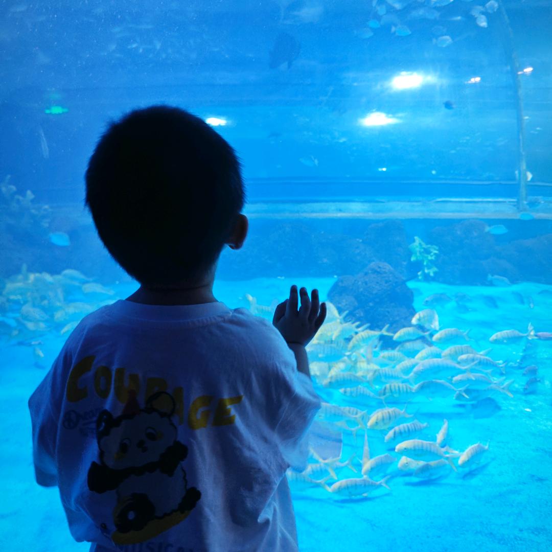 沐泽小朋友👶🏻