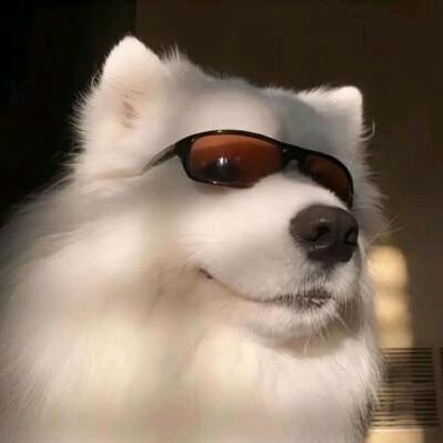 ༒࿈梓梓༙྇࿈༒