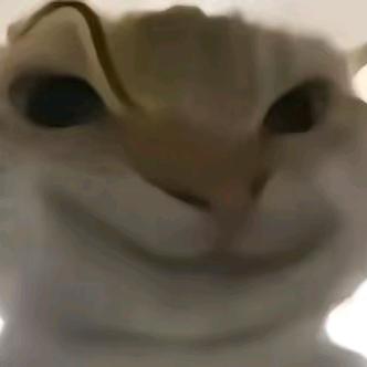 卡瓜大玉