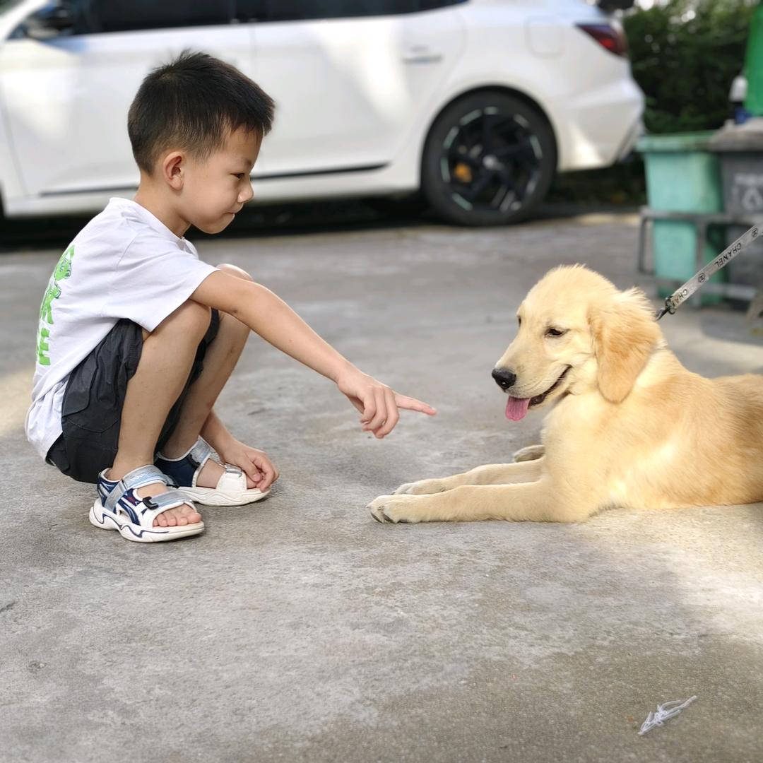 诺宝