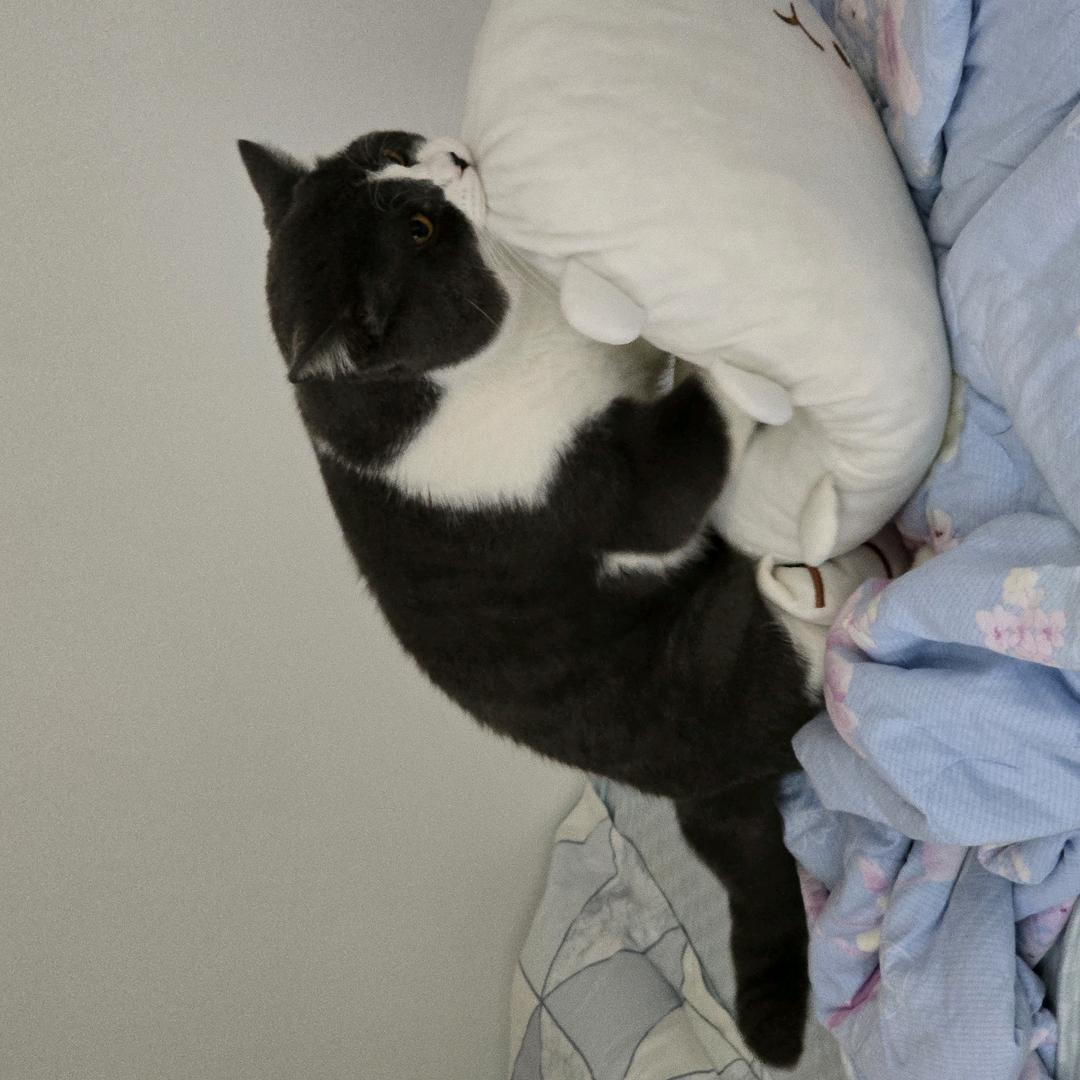 啵啵啵啵啵啵啵啵啵