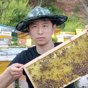 朝阳区老王蜂产品