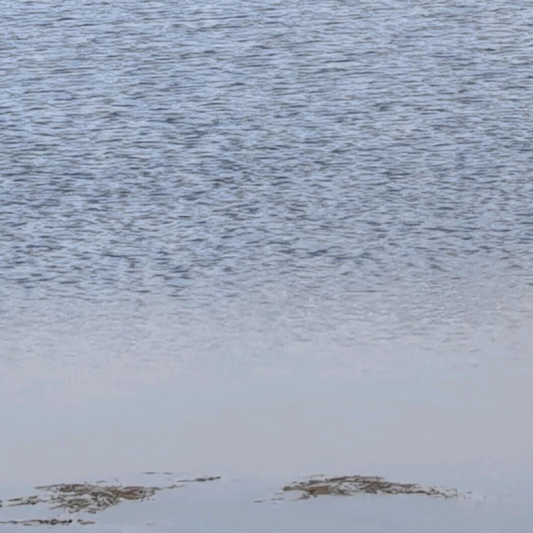 向前向前向前！