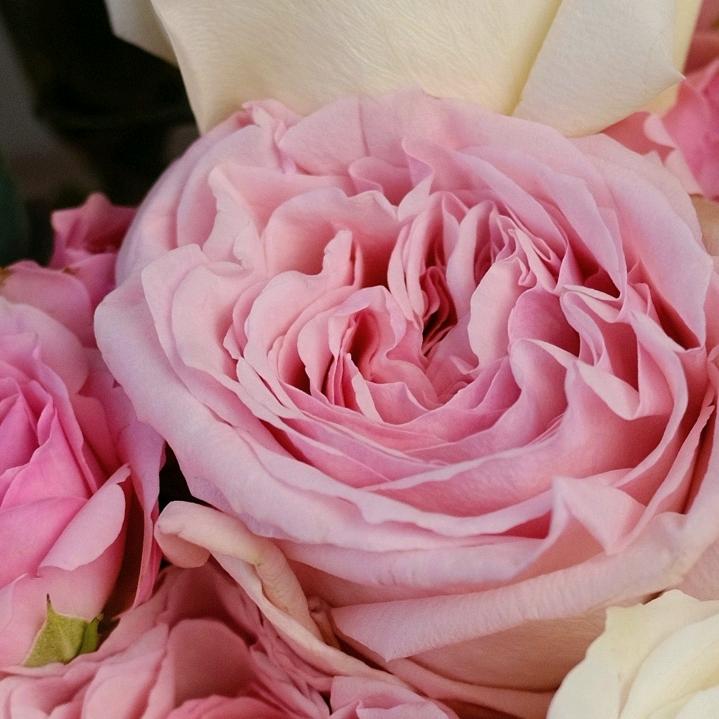 ꧁💞余生随心᭄ᩚ꯭ᩚ꧁💞