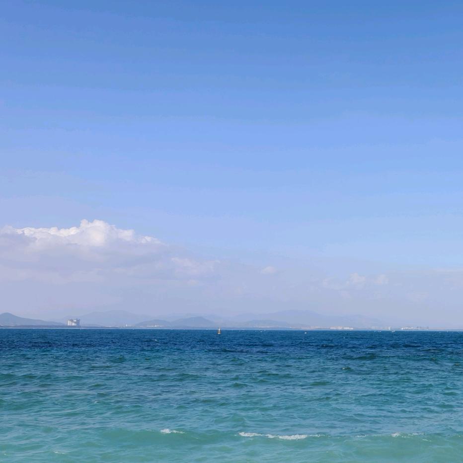 卍💦 🐍 海阔天空🐂🐉💰