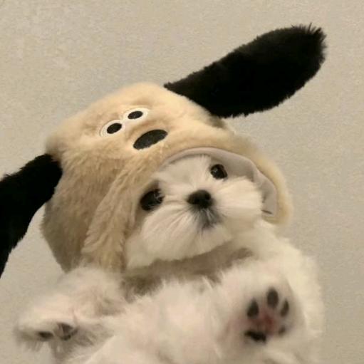 茉莉奶绿•᷄ࡇ•᷅