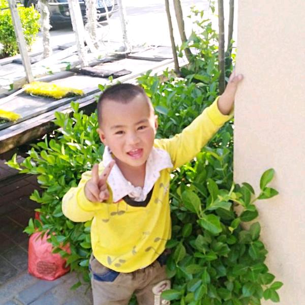 🍓🍓意况🍎🍎大旨🍒🍒