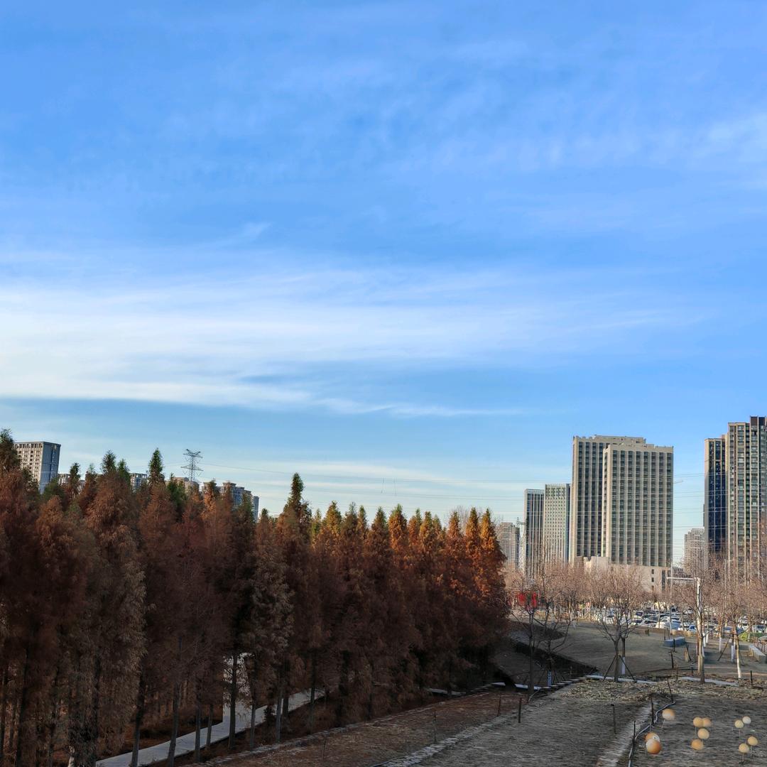 仰望天空二师兄