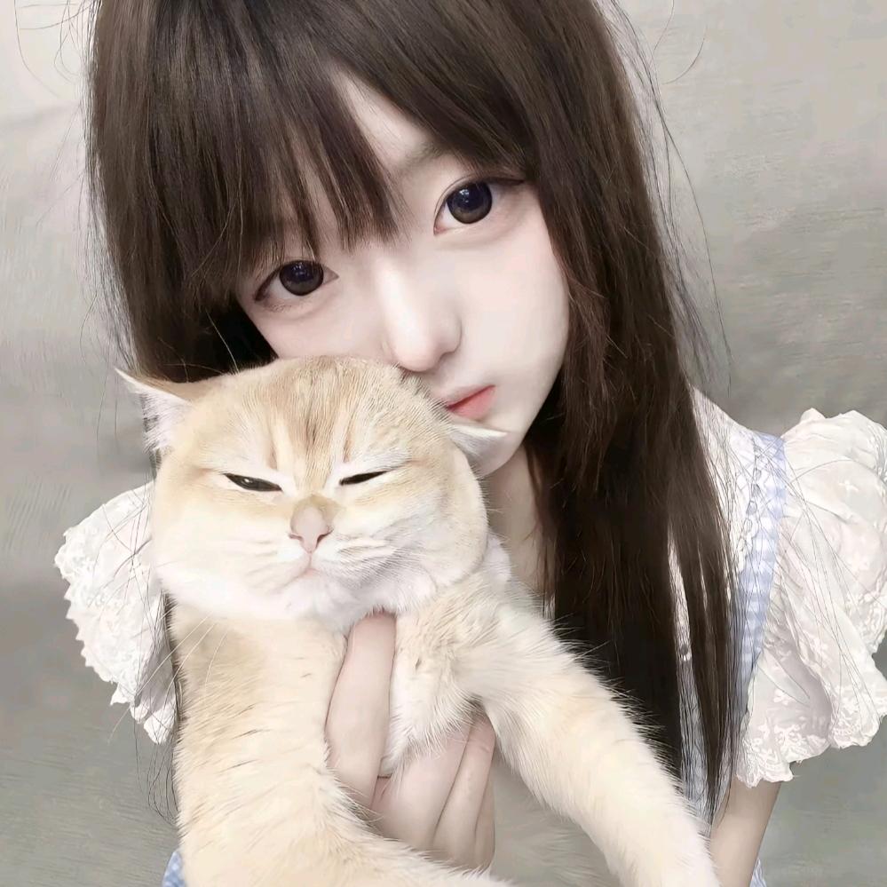 小懒🧁
