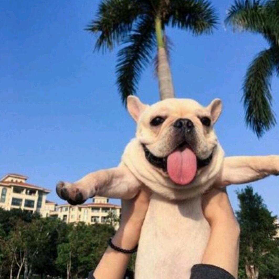 cr