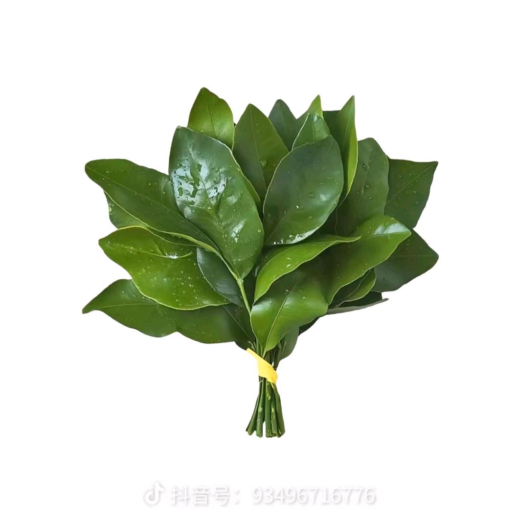 xiao_茹