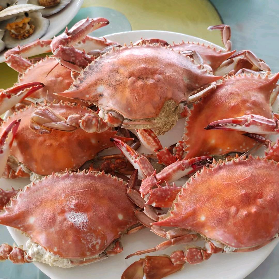 双赢渔家院👫单姐