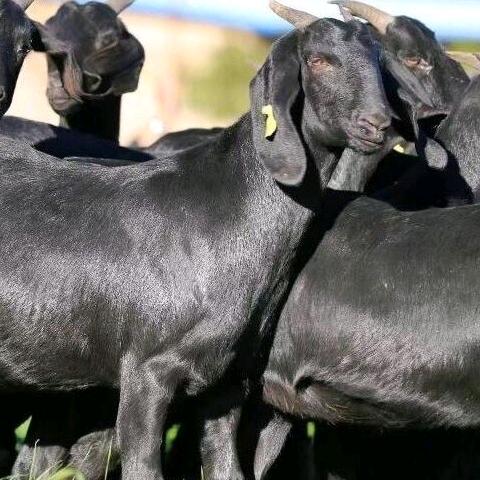 攸县方全达多元百货严选