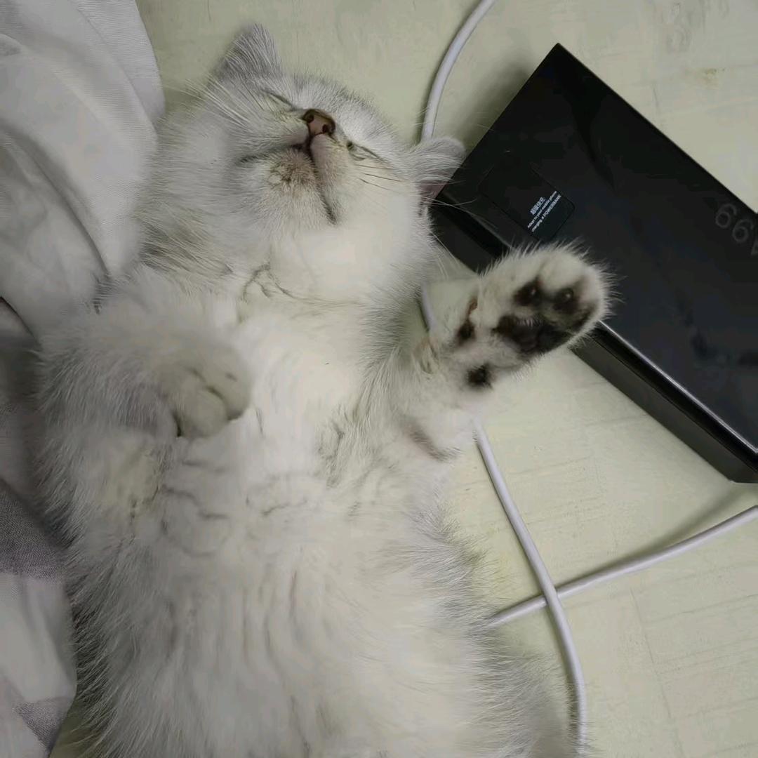 赢下全世界