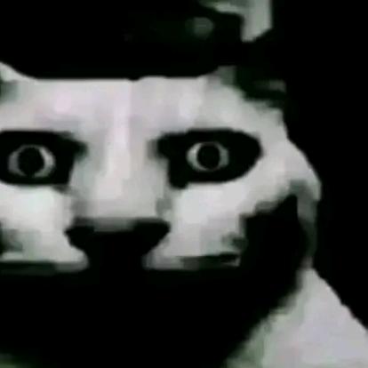 8子x