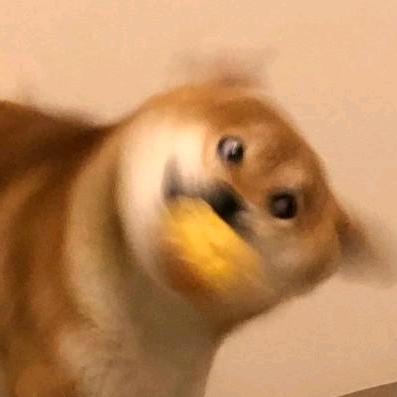 随地拉屎并把玩被护工暴揍后往他外卖里加料