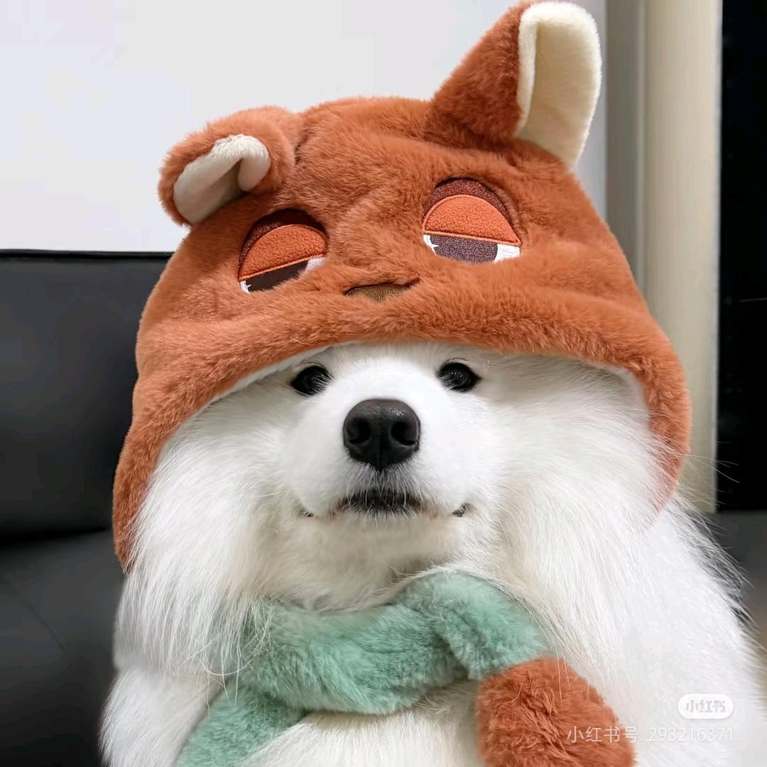 睡睡睡一周
