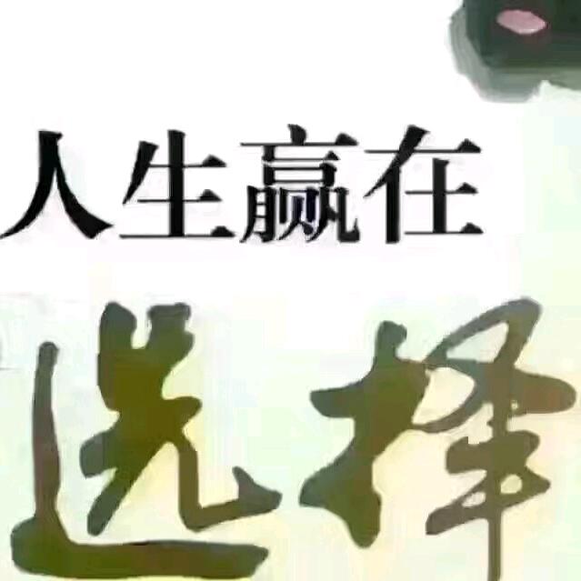 掌舵人