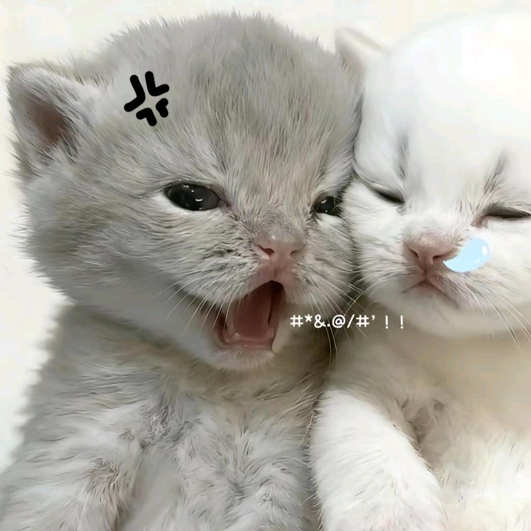 今天也很烦心