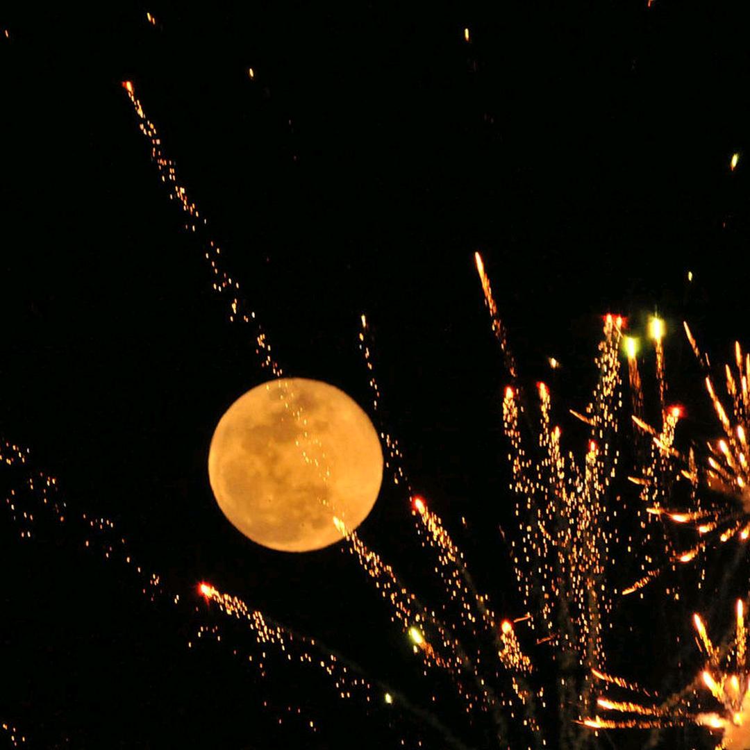 五香嘴丰都麻辣鸡（二店）