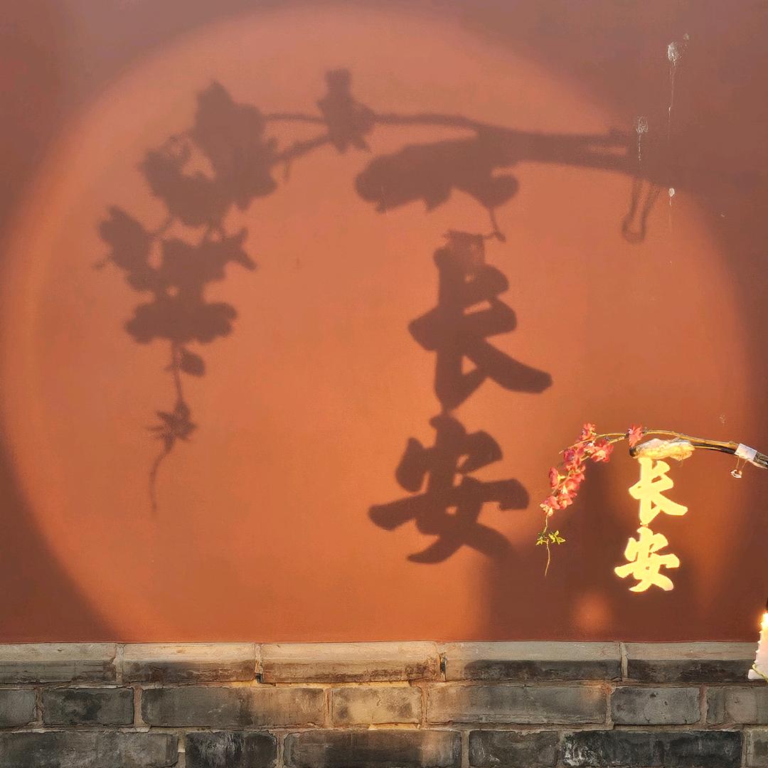 是菁菁不是青青