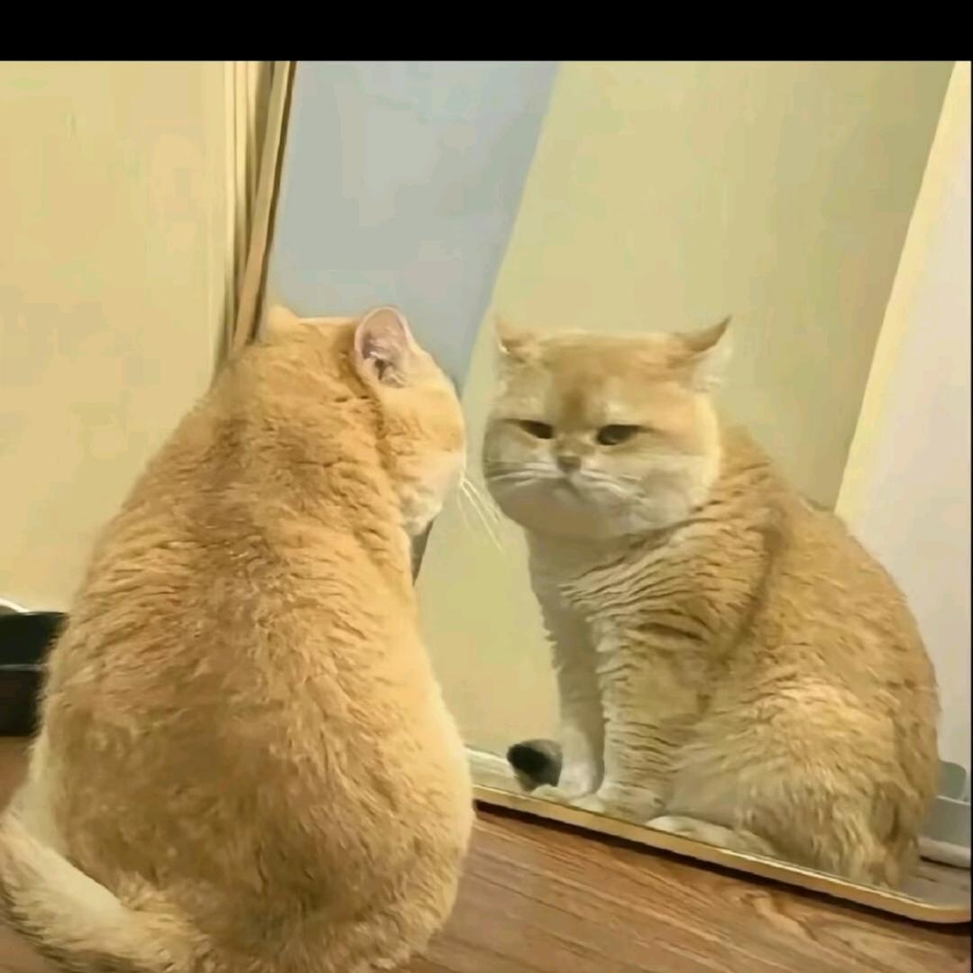 噫～
